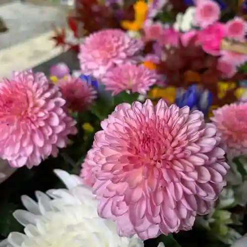 滑川神社 - 仕事と子どもの守り神の手水舎
