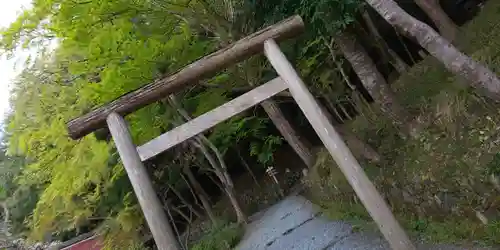 出雲大神宮の鳥居