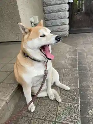 笠䅣稲荷神社(神奈川県)