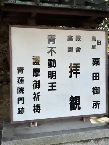 青蓮院門跡(京都府)