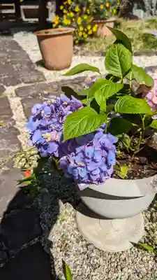 香雪院(京都府)