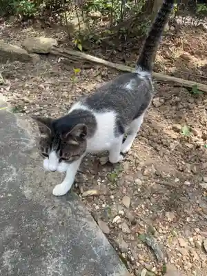 玉野御嶽神社(愛知県)