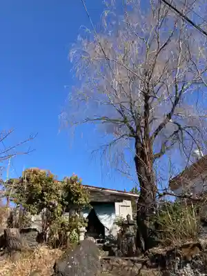 妙法寺(山梨県)