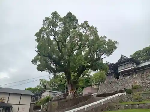 鎮西大社諏訪神社(長崎県)