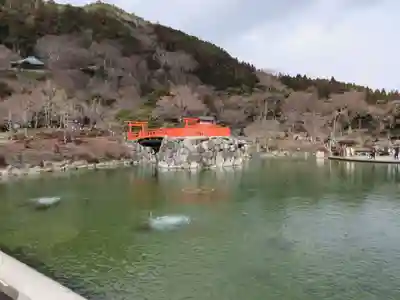 勝尾寺(大阪府)