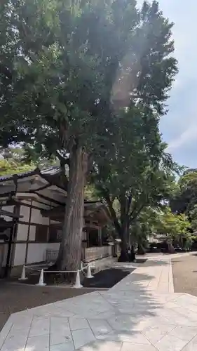 清荒神清澄寺(兵庫県)