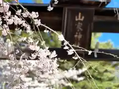 山家神社の自然