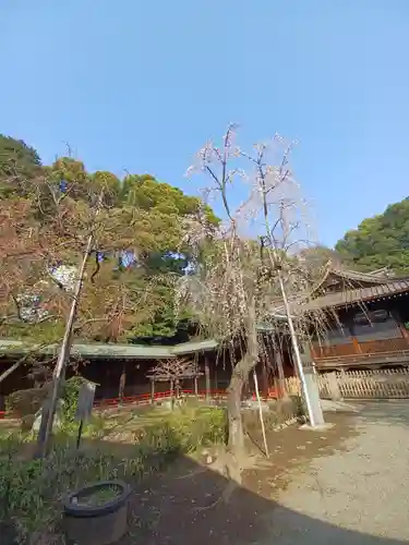 代々木八幡宮の庭園