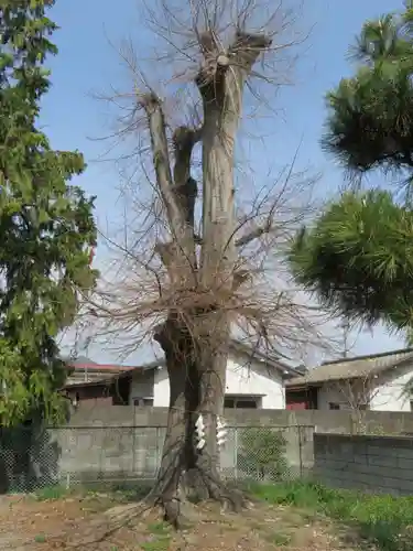 比枝神社の自然