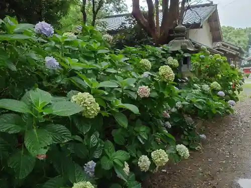 年毛神社の庭園