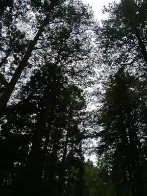 大正天皇多摩陵(東京都)