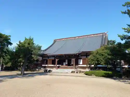 本成寺の本殿・本堂