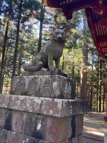 三峯神社の狛犬