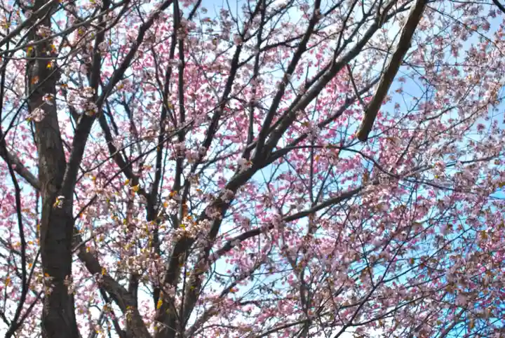 潮見ヶ岡神社(北海道)