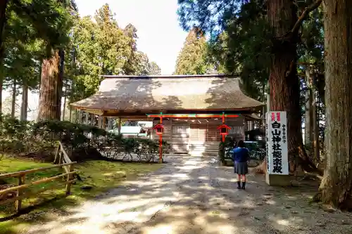白山神社の本殿・本堂