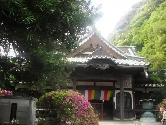 安養院 (田代寺)の本殿・本堂