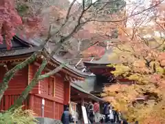 談山神社(奈良県)