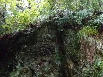 出雲大社(島根県)