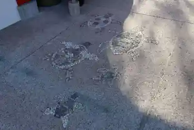 龍宮神社(鹿児島県)