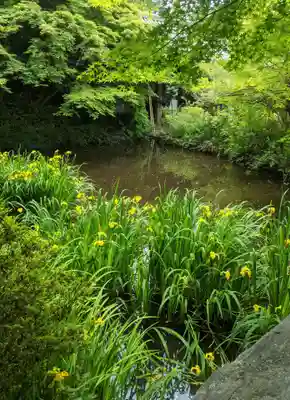 不退寺(奈良県)