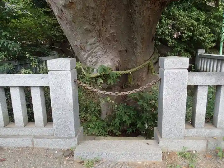 青渭神社の自然