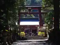 北口本宮冨士浅間神社の鳥居