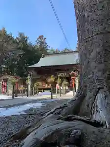 滑川神社 - 仕事と子どもの守り神(福島県)(2025年02月16日(日) 13時15分14秒投稿)