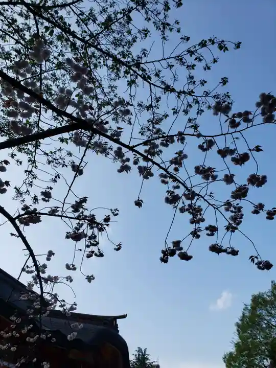 花園神社の自然