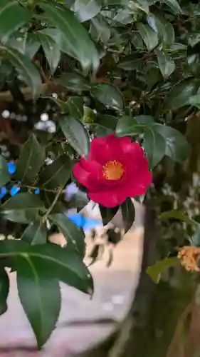 仁和寺(京都府)