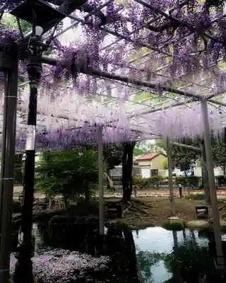 秋葉神社(愛知県)