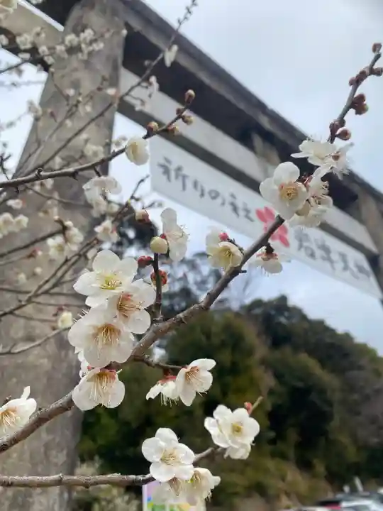 岩津天満宮(愛知県)