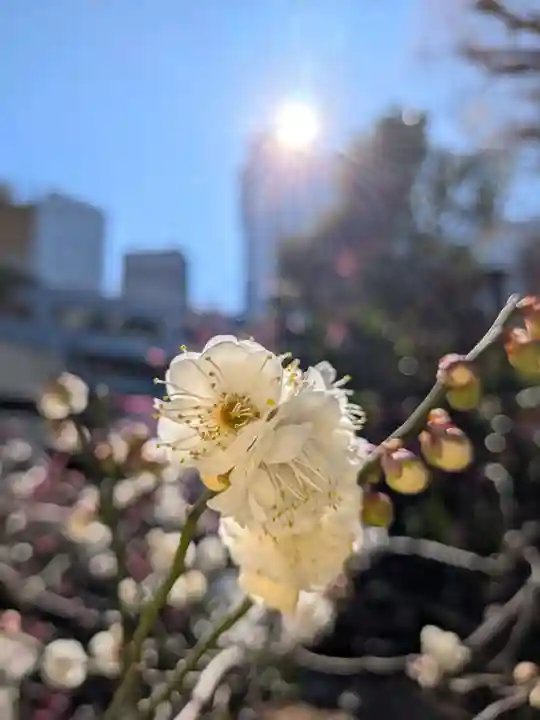 成子天神社(東京都)