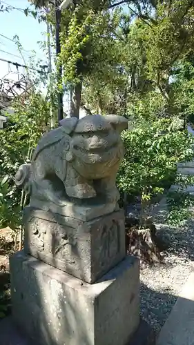 菊田神社の狛犬