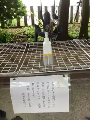 神明社(桜神明社)の手水舎