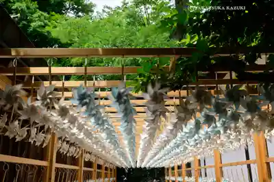 川越氷川神社(埼玉県)