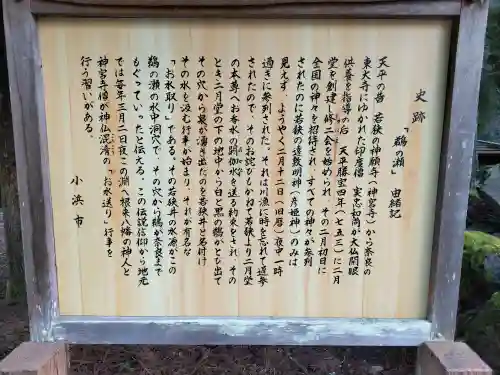 白石神社（若狭彦神社境外末社）の{uncategorized: "未分類", other: "その他", undefined: "問題あり", building: "その他建物", grave: "お墓", sacred_gate: "鳥居", guardian: "狛犬", statue: "像", buddha: "仏像", history: "歴史", nature: "自然", garden: "庭園", animal: "動物", pagoda: "塔", temizu: "手水舎", mountain_gate: "山門・神門", sanctuary: "本殿・本堂", subordinate: "末社・摂社", art: "芸術", scenery: "景色", jizo: "地蔵", ema: "絵馬", goshuin: "御朱印", omikuji: "おみくじ", items: "授与品その他", amulet: "お守り", goshuincho: "御朱印帳", eats: "食事", festival: "お祭り", votive_dance: "神楽", shichigosan: "七五三参", wedding: "結婚式", experience: "体験その他", initially: "初詣", around: "周辺", anti_infection: "感染症対策"}