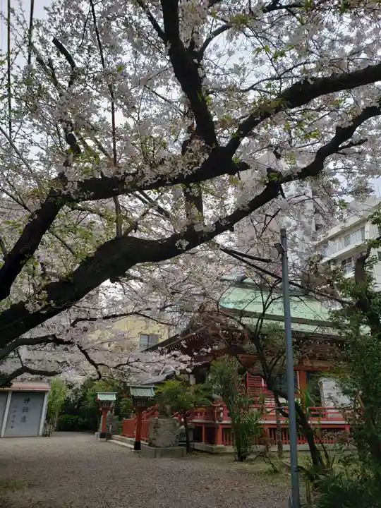 秋葉神社(東京都)