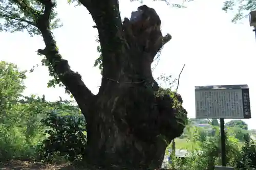 浮島神社の自然