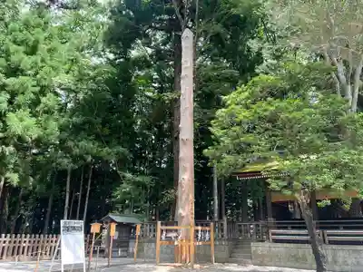 諏訪大社下社秋宮(長野県)