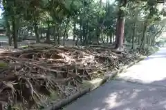 手向山八幡宮(奈良県)