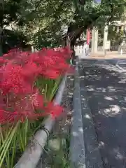 富部神社(愛知県)