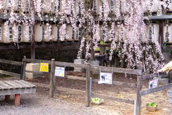 大石神社(京都府)