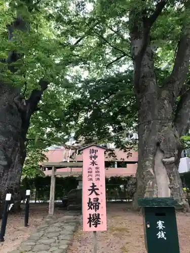 熊野神社(山形県)