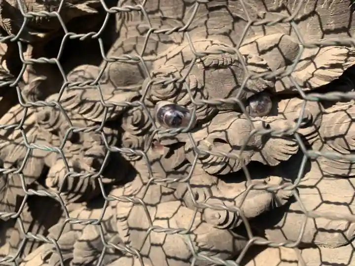 成田山新勝寺(千葉県)