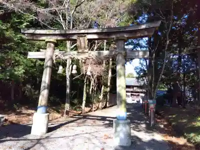 柏木神社(滋賀県)