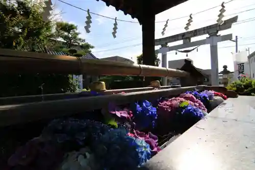 豊景神社の鳥居