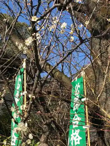 阿佐ヶ谷神明宮の自然