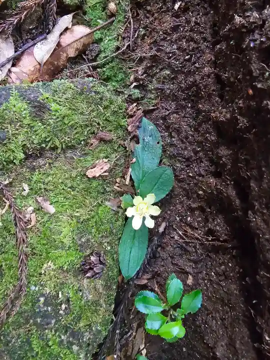 阿弥陀寺 奥之院浄土堂(和歌山県)