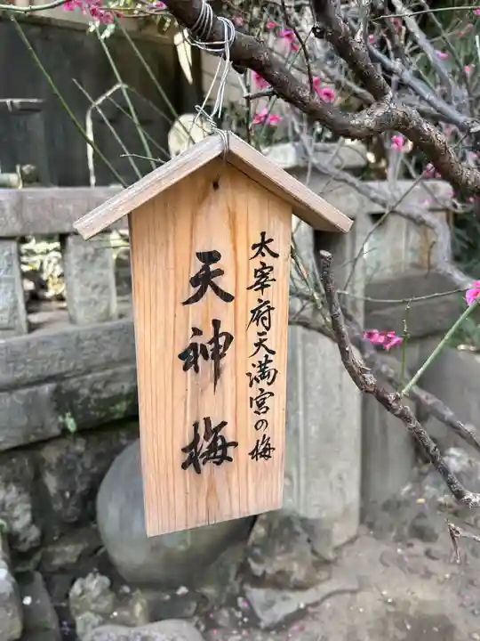 小野照崎神社(東京都)