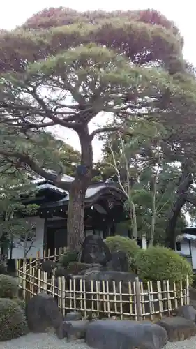 修禅寺の庭園